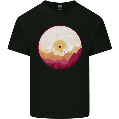 Vinyl landscape record - vinyl,